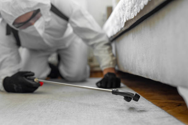 Professional Cockroach Control technician working in Wathena, KS