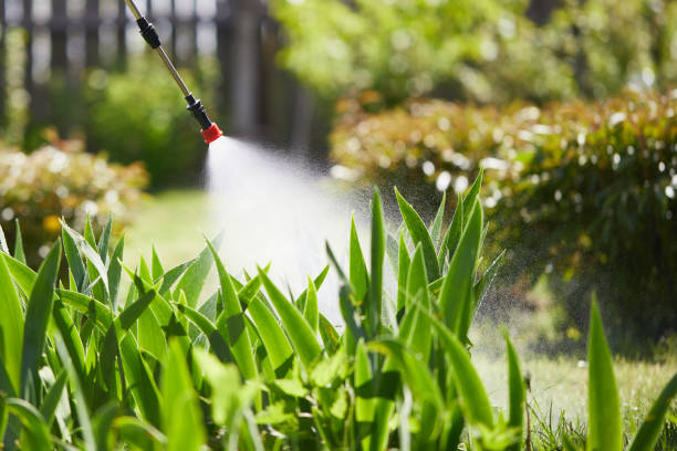 24/7 Emergency Cockroach Control experts in Wathena, KS