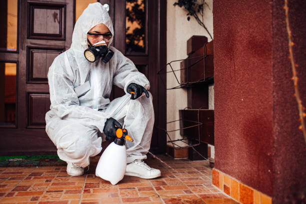 Reliable Cockroach Control contractor in Wathena, KS by Nex Pest Control