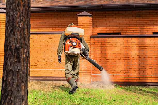 Trusted Bed Bug Control service in Wathena, KS - Nex Pest Control
